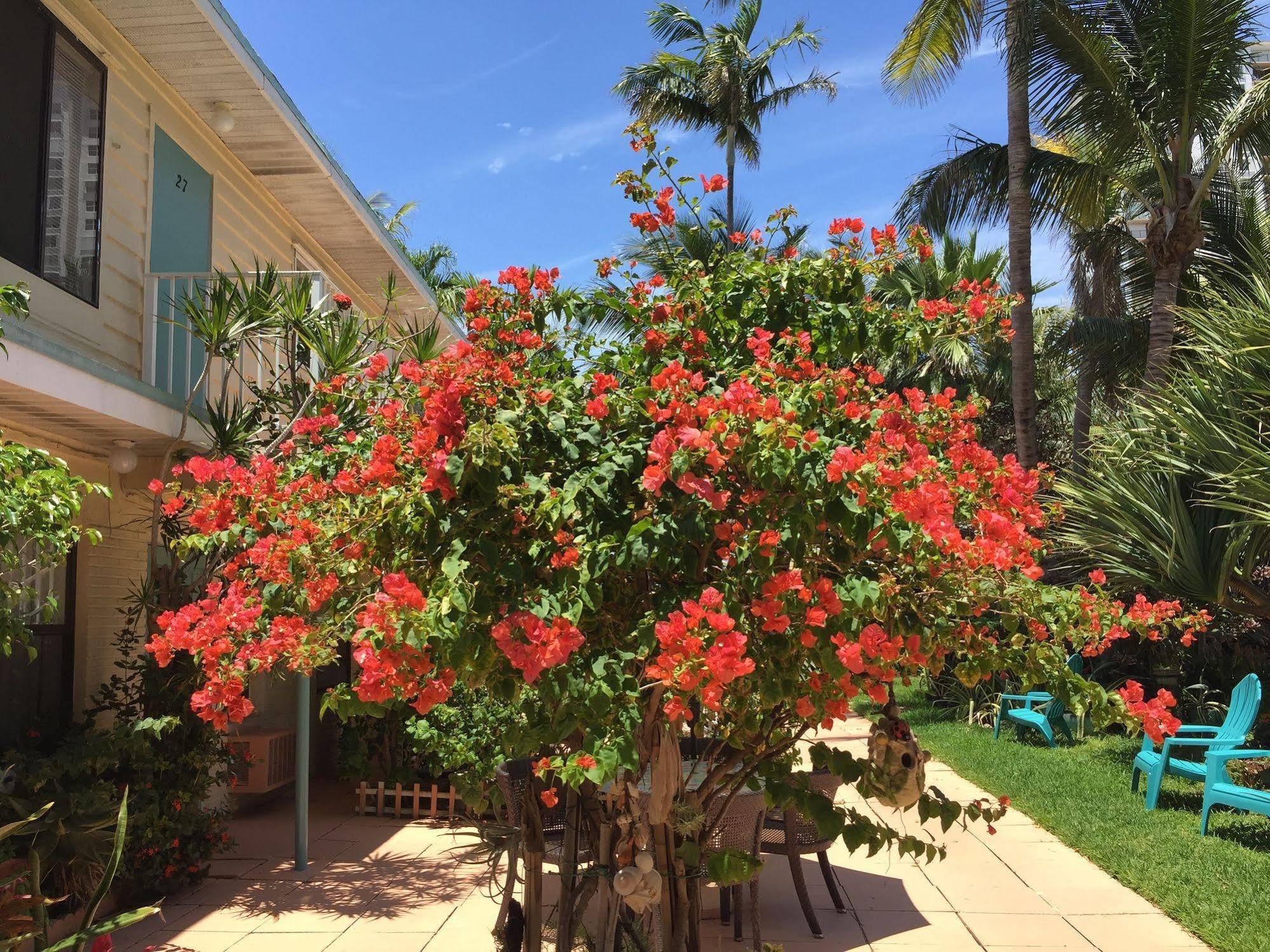 Sea Cove Motel Pompano Beach Exterior foto